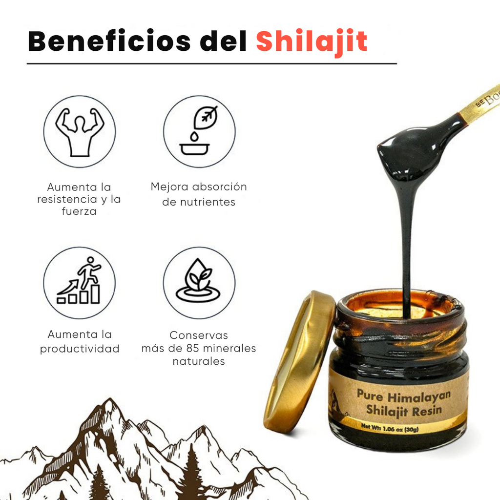 RESINA SHILAJIT DEL HIMALAYA