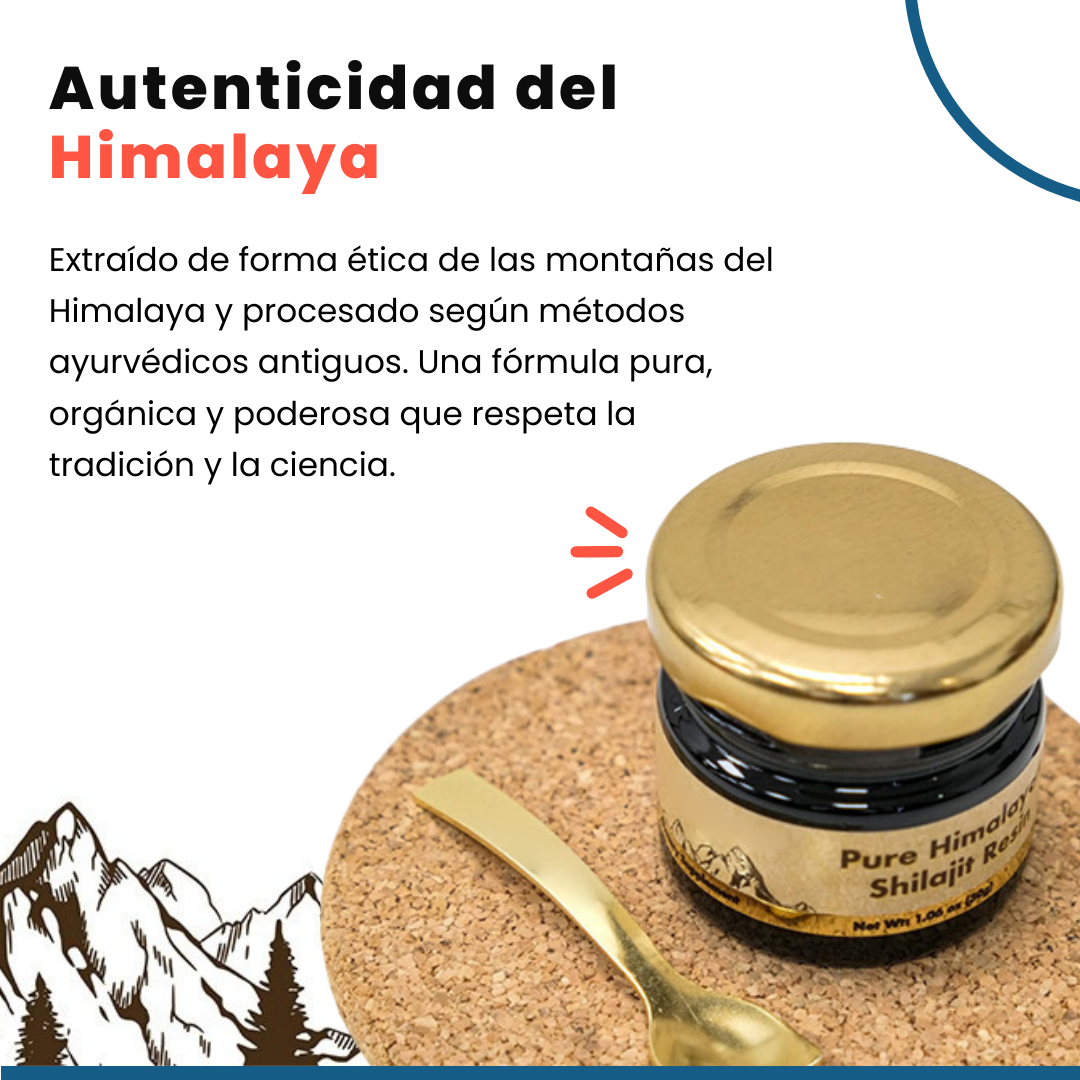 RESINA SHILAJIT DEL HIMALAYA